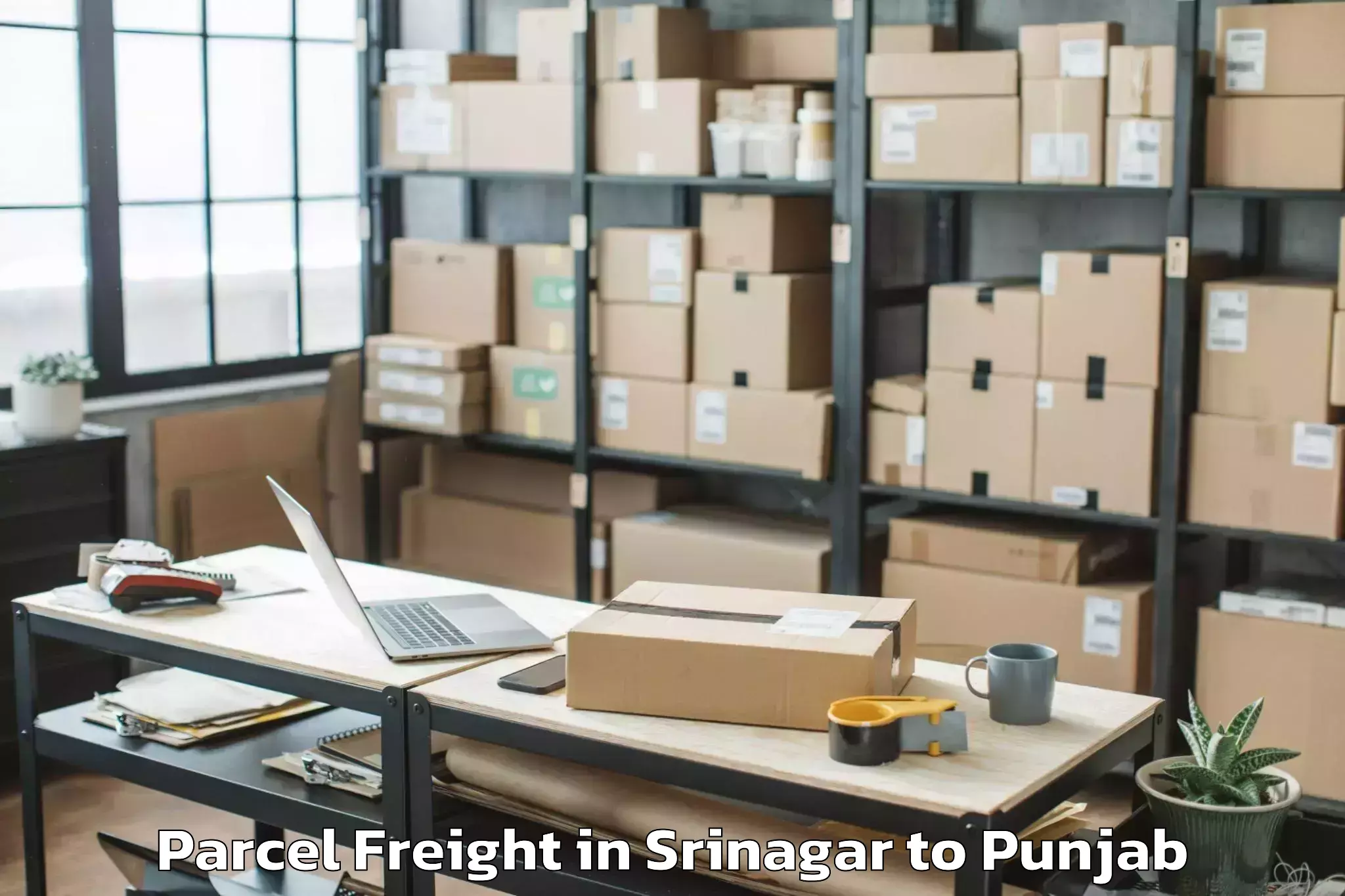 Leading Srinagar to Kaler Parcel Freight Provider